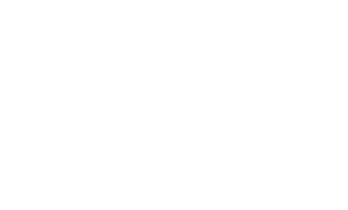 Super Power Pest Control Services